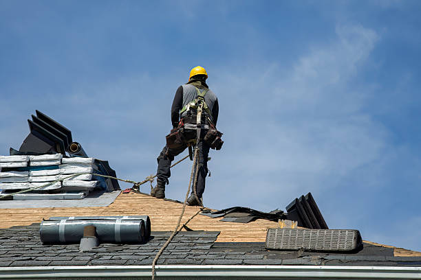 Professional Roof Repair technician working in Nebo, NC